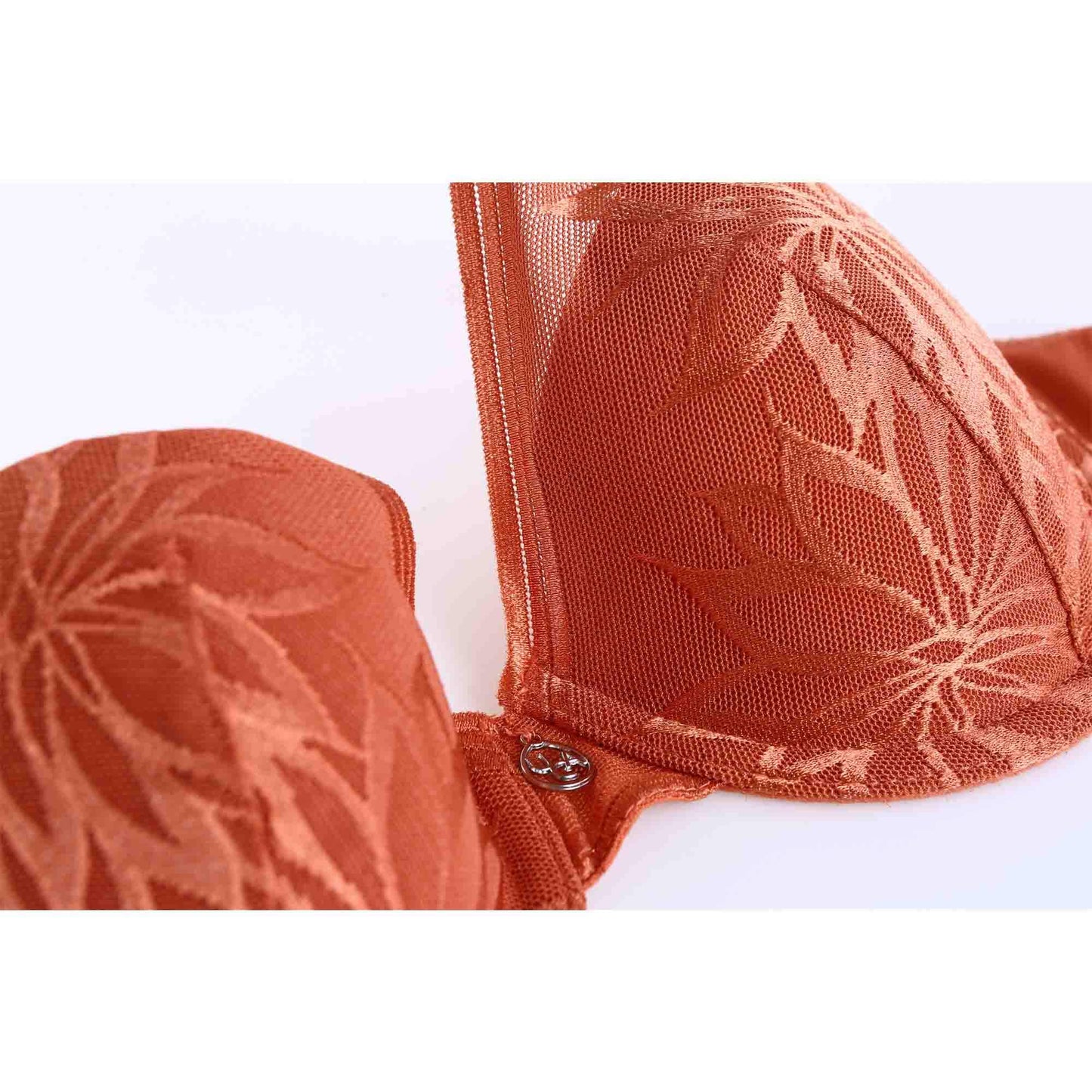 NATALIE Sexy Plunge Lace Bra-imgsize-38D